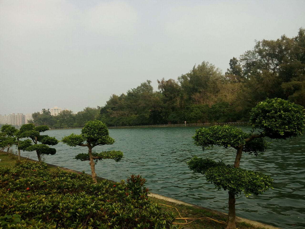 chengcing lake